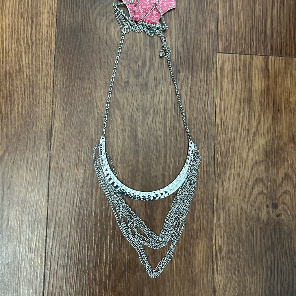 Silver Layered Necklace With Matching Earrings -Nwt